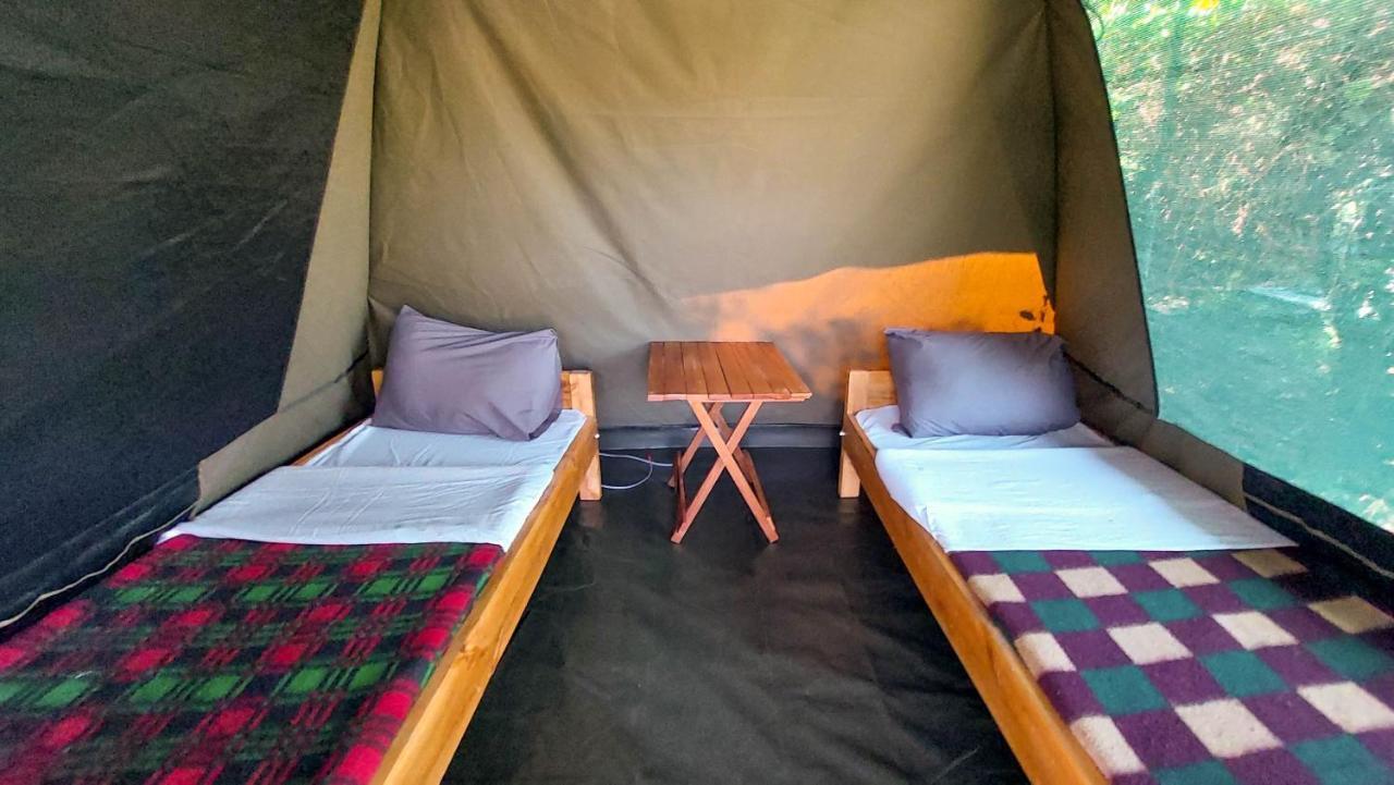 Greenwood Safari Camp Talek Dış mekan fotoğraf