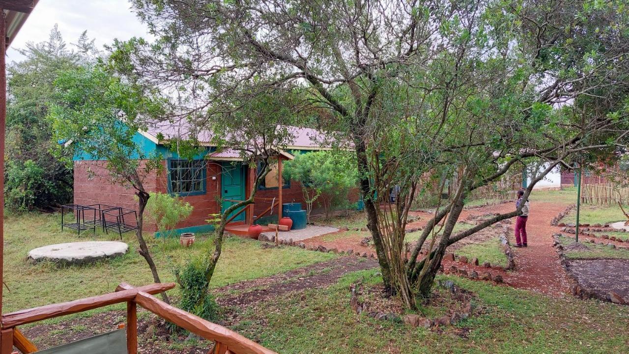 Greenwood Safari Camp Talek Dış mekan fotoğraf