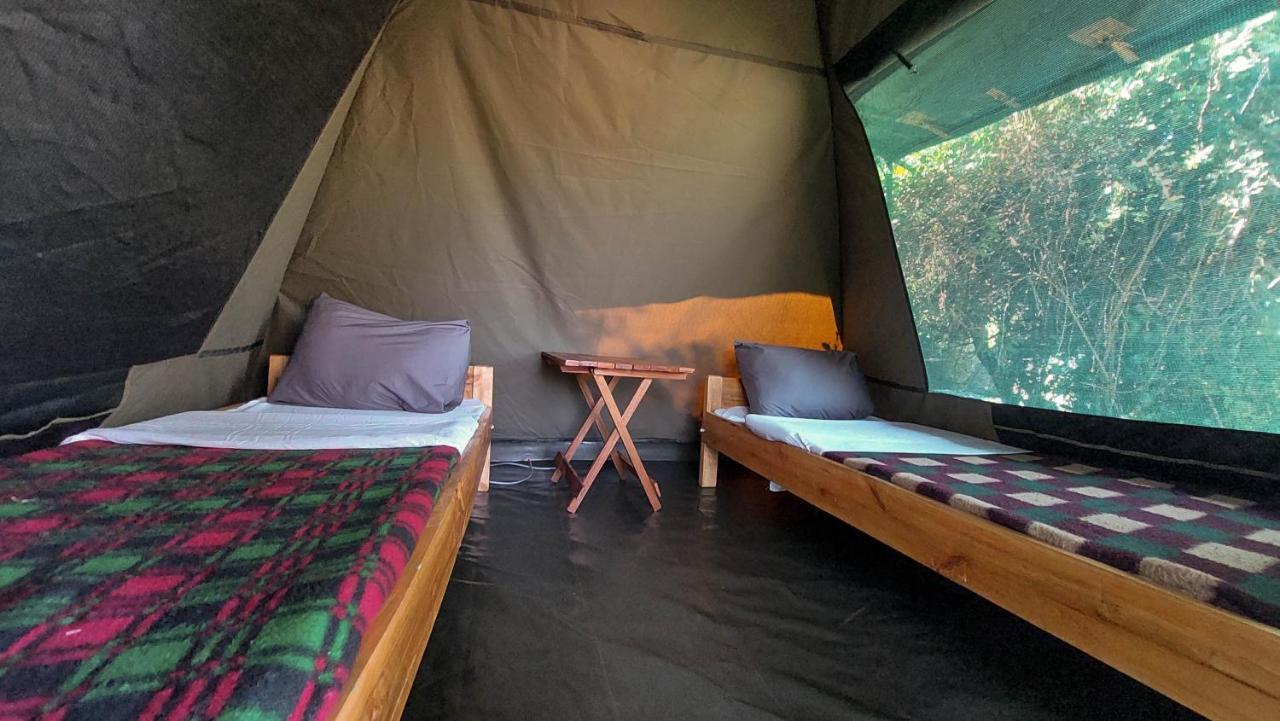 Greenwood Safari Camp Talek Dış mekan fotoğraf