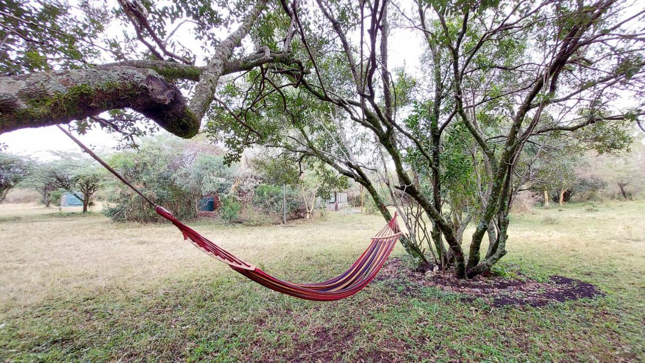 Greenwood Safari Camp Talek Dış mekan fotoğraf