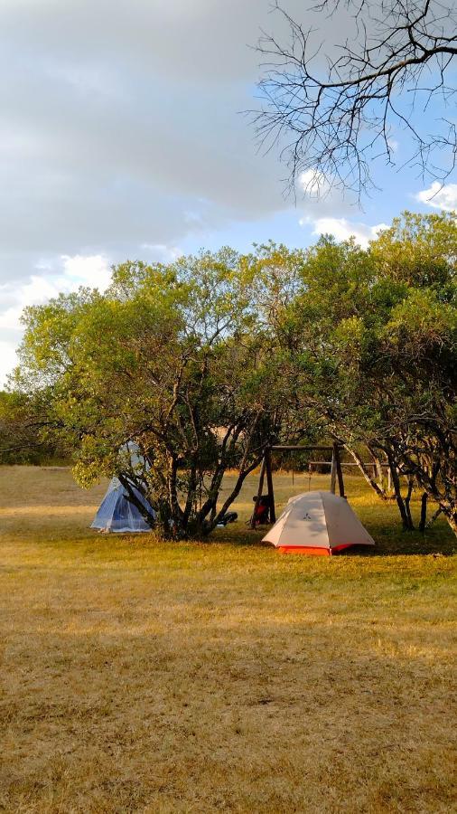 Greenwood Safari Camp Talek Dış mekan fotoğraf