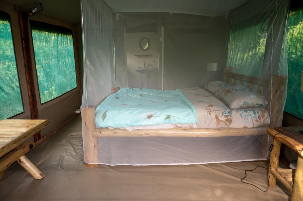 Greenwood Safari Camp Talek Dış mekan fotoğraf
