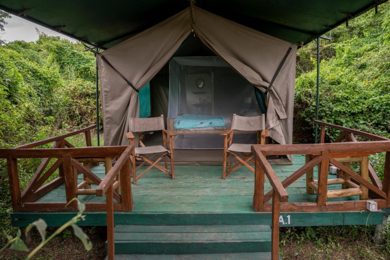 Greenwood Safari Camp Talek Dış mekan fotoğraf