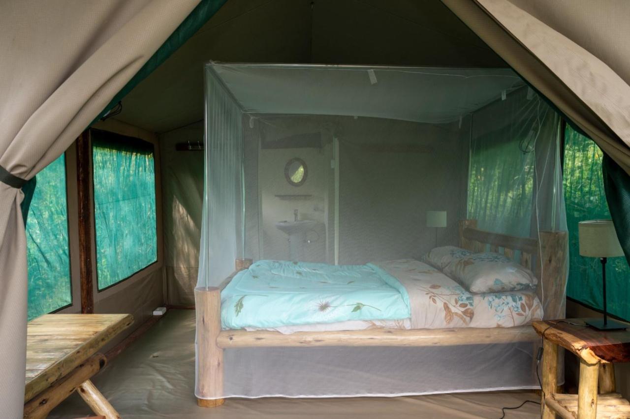 Greenwood Safari Camp Talek Dış mekan fotoğraf