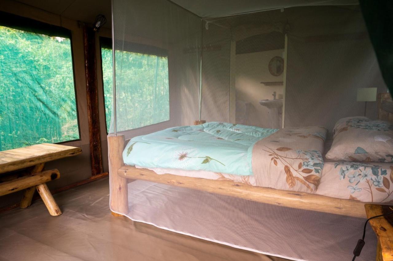 Greenwood Safari Camp Talek Dış mekan fotoğraf